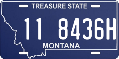 MT license plate 118436H