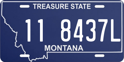 MT license plate 118437L