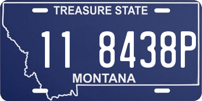 MT license plate 118438P
