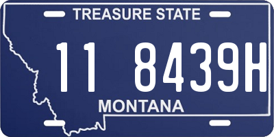 MT license plate 118439H