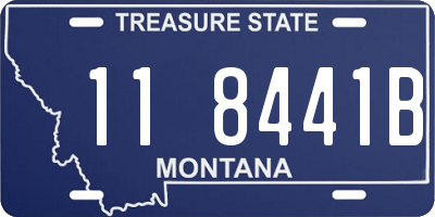 MT license plate 118441B