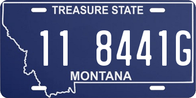 MT license plate 118441G
