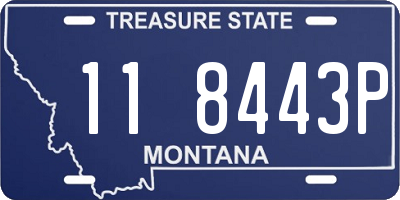 MT license plate 118443P