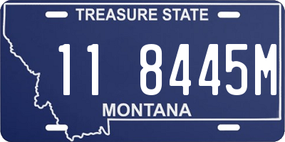 MT license plate 118445M
