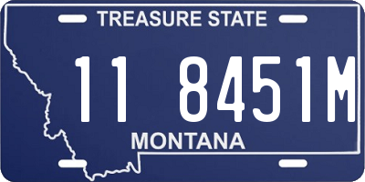 MT license plate 118451M