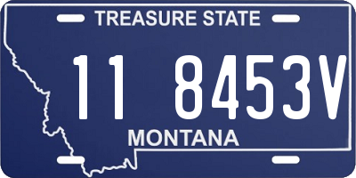 MT license plate 118453V