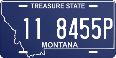 MT license plate 118455P