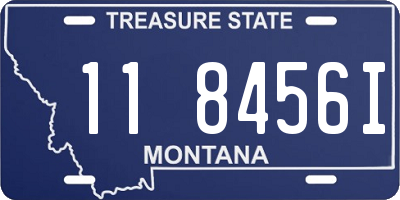 MT license plate 118456I