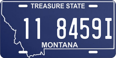 MT license plate 118459I