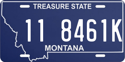 MT license plate 118461K