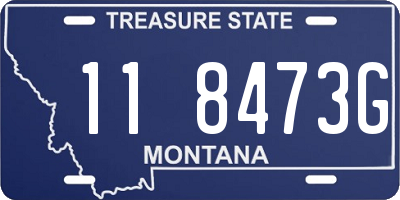 MT license plate 118473G