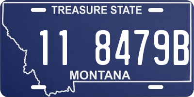 MT license plate 118479B
