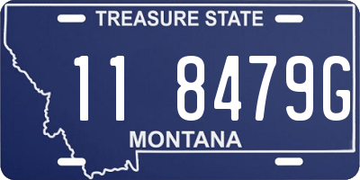 MT license plate 118479G