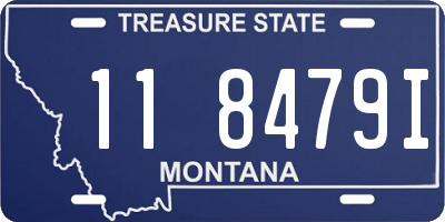 MT license plate 118479I