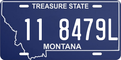 MT license plate 118479L