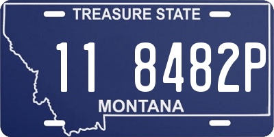 MT license plate 118482P