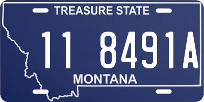 MT license plate 118491A