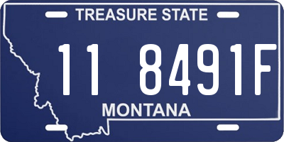 MT license plate 118491F