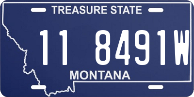 MT license plate 118491W