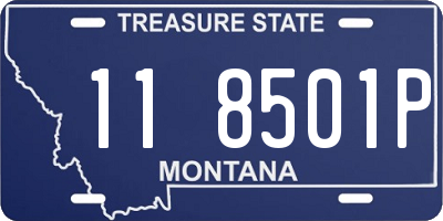 MT license plate 118501P