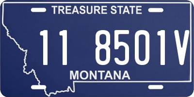 MT license plate 118501V