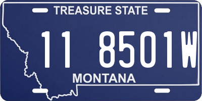 MT license plate 118501W