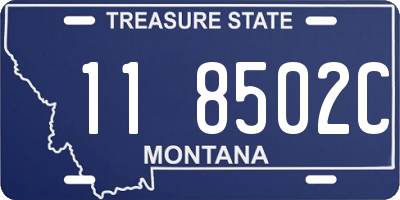 MT license plate 118502C