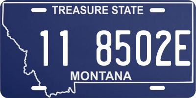 MT license plate 118502E