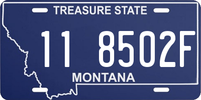 MT license plate 118502F