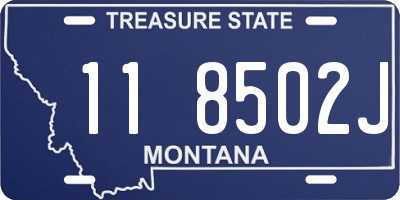 MT license plate 118502J