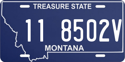 MT license plate 118502V