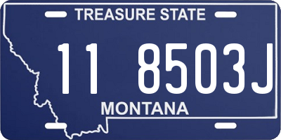 MT license plate 118503J