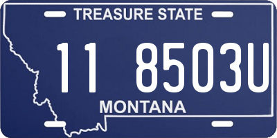 MT license plate 118503U