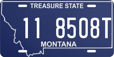 MT license plate 118508T