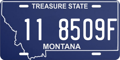 MT license plate 118509F