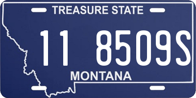 MT license plate 118509S