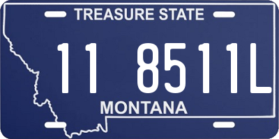 MT license plate 118511L