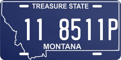 MT license plate 118511P