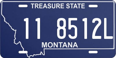 MT license plate 118512L