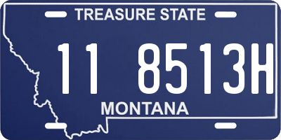 MT license plate 118513H