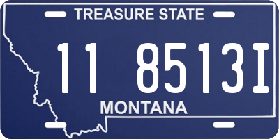 MT license plate 118513I