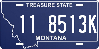 MT license plate 118513K