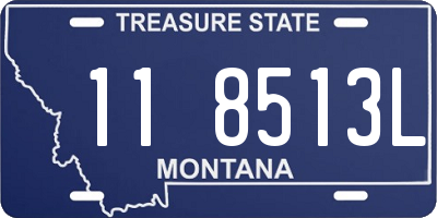 MT license plate 118513L