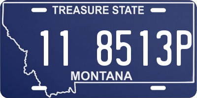 MT license plate 118513P