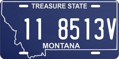 MT license plate 118513V