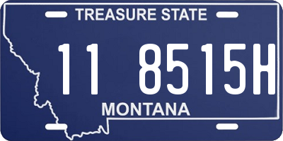 MT license plate 118515H