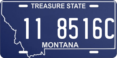 MT license plate 118516C