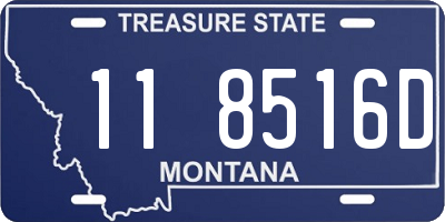 MT license plate 118516D