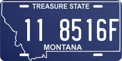 MT license plate 118516F