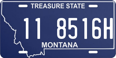 MT license plate 118516H